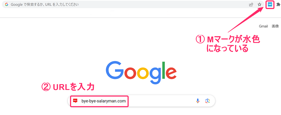 Google検索画面　URL入力
